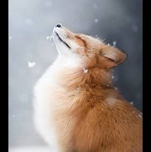 Meet your Posher, Kristin